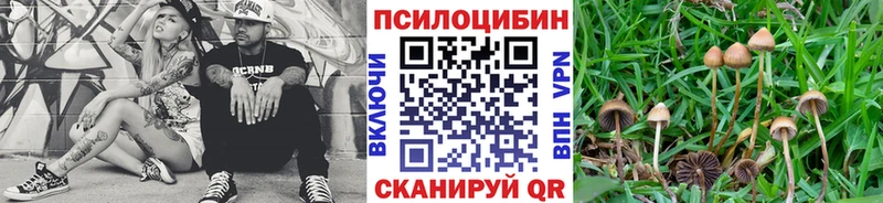 ссылка на мегу   цена   Сухой Лог  Галлюциногенные грибы мухоморы 